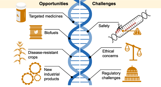 Plant Genome Editing Tools 2